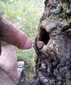 amatérské fotky - č. 1006798