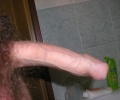penis 19.5cm