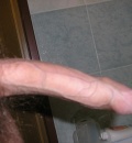 penis 19.5cm
