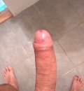 Penis