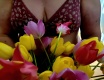 Tulipány - fotoalbum č. 149995