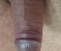 Vse