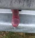 Svodidla