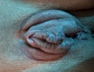 Pumpa - fotoalbum č. 153595