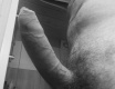 Aktuální - fotoalbum č. 153729