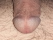 detaily - fotoalbum č. 155376