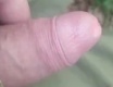 Venku v lese - fotoalbum č. 156919