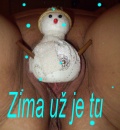 Veselé vánoce