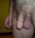 marek