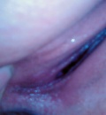 chci to