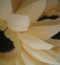 makro