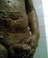 amatérské fotky - č. 197937