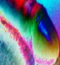 ohol