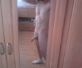 Muj :)