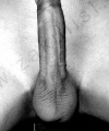 amatérské fotky - č. 292912