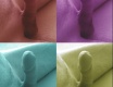 Pop Art - fotoalbum č. 43728