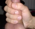 Honka