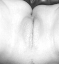 Pucina