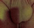 slovensky penis