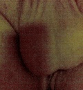 slovensky penis