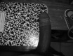 my dick - fotoalbum č. 55685
