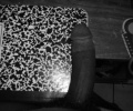 my dick