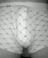 amatérské fotky - č. 383209