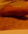 amatérské fotky - č. 385835