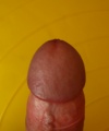 amatérské fotky - č. 393794
