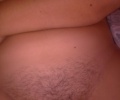 bobr