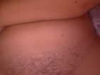 bobr