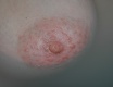 Plavou - fotoalbum č. 59253