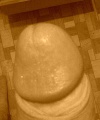amatérské fotky - č. 474403