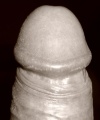 amatérské fotky - č. 503004