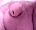 penis