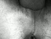 Black and White - fotoalbum č. 81202
