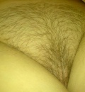 pipi