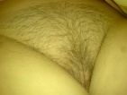 pipi