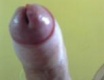 1 - fotoalbum č. 88677