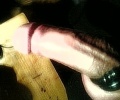 punx33