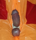 plastdaver