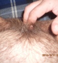 mazlicci
