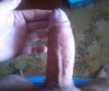 Můj penis
