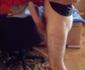 Mybigcock