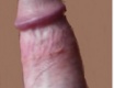 jen tak - fotoalbum č. 110334