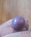 amatérské fotky - č. 774771
