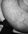 amatérské fotky - č. 799779