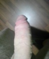 amatérské fotky - č. 811209