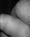 amatérské fotky - č. 844679