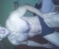 Slipopárty